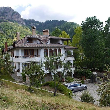 Family Hotel Silver سموليان المظهر الخارجي الصورة